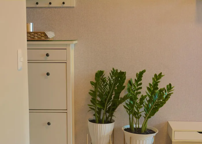 Muji Style 2br With Free Parking Bgc Apartment